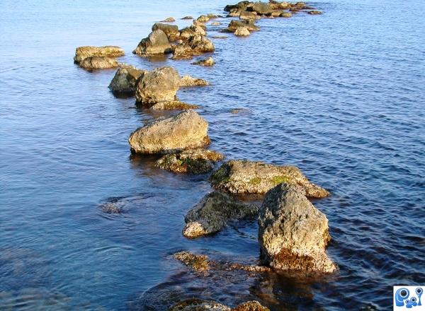  bridge with rocks